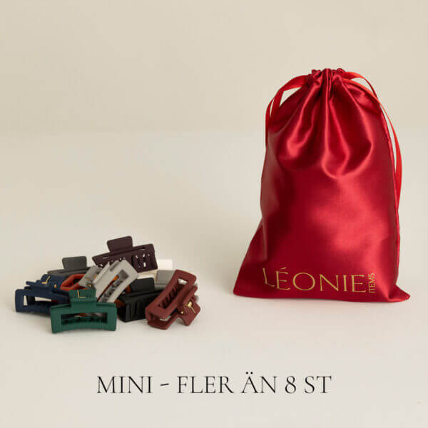 Presentpåse-liten-mini